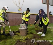 Urban Tree Plantings