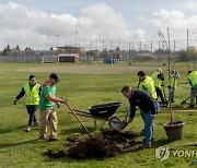 Urban Tree Plantings