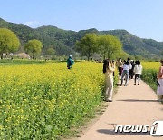 봄 축제 절정 이룬 주말…충북 곳곳 상춘객들로 '북적'