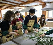 경상남도 하동군, 5월 한국야생차(茶)문화축제 개최… 하동세계차엑스포 운영 병행