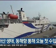 러시아산 생태, 동해항 통해 오늘 첫 수입