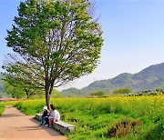 [One with Nature] Gwangyang has more to offer than just plum blossoms