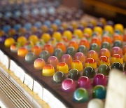 Shiny domes of chocolate bonbons offer rare kind of sweetness