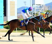 제4회 루나스테이크스 대상 경주, 23일 렛츠런파크 부산경남서