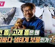 펭귄 똥, 고래 똥이 줄어서 남극바다가 위기?