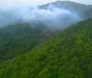 충남 부여군 야산에서 화재...주불 진화 완료