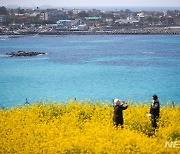 제주, 대체로 흐림…낮 최고기온 19도 내외