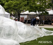 책 읽는 서울광장 뒤로 보이는 이태원 참사 합동분향소