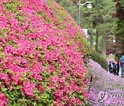 '미세먼지도 봄기운 못 막아'…축제장·유원지에 상춘객 북적