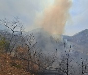 옥천 군북면 산불 발화 용의자 2명 확인