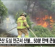 군산 도심 인근서 산불..50분 만에 큰불 잡혀