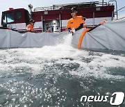 제주 지하수 수위 1.97m 내려갔다…기준 관측정 70% '0.5m 이상' 하강