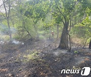 건조한 날씨 속 군산 미룡동 야산서 불…54분만에 주불 진화