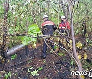 양산 원동면 야산에 불…51분 만에 진화