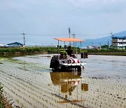 남해군, 해담쌀 첫 모내기 이뤄져