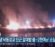 창녕 낙동강교 인근 갈대밭 불…2천여㎡ 소실