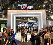 Hyundai Mobis seeks bigger presence in global markets