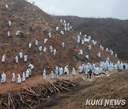 양구군, 산불 피해지 명품 숲으로 조성한다… 121억 투입