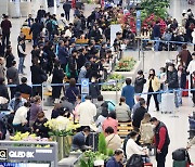 여행객 모시기에 분주한 공항, 본격 정상화 채비