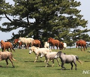 제주 대체로 흐림…낮 최고 17도 