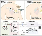 KAIST, 무선으로 심혈관 실시간 모니터링…위험예측·관리 편의성 확보