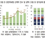 운전자보험 과열 경쟁이 교통사고법 강화 실효성 낮춘다?