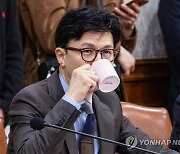 차 마시는 한동훈 법무부 장관