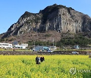 코로나19 이후 제주 방문 외국인 관광객 7배 급증