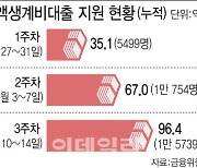 [단독]긴급생계비대출 100만원→200만원 상향 검토