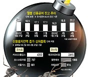 '누칼협' 조롱 잊었나…커지는 빚투 경고등