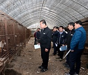 파주시, 동물학대 혐의 농장 긴급 현장 점검…종합대책 마련