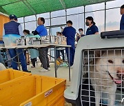 블루엔젤봉사단, 동물보호소 봉사…"무더위 잘 버틸 수 있도록"