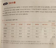 국내 SW생산 68.8조···순수 개발자 17만명