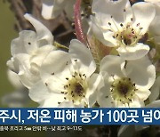 청주시, 저온 피해 농가 100곳 넘어