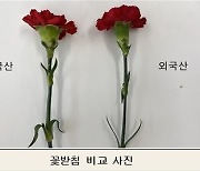 '가정의 달' 5월, 화훼류 원산지 단속…거짓 표기 시 형사입건