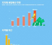 올해 지자체 세입예산 300조원 넘어…지난해 보다 5.9%↑[그래픽뉴스]