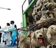 '사면초가' 육견업계, 결국 '김건희 여사' 고발