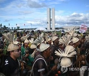 BRAZIL NATIVES