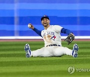 White Sox Blue Jays Baseball