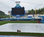 프로야구 대구·부산 경기 비로 취소…추후 재편성