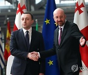 BELGIUM EU GEORGIA DIPLOMACY