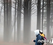 [오늘의 날씨] 울산(26일, 수)…아침 안개 주의, 오후에 차차 맑아져