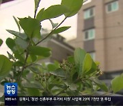 “보증금 못 받고 경매로”…피해 대책은?