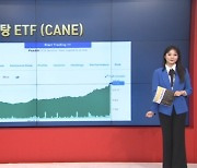 4월 26일 ETF 시황...KRE 하락 [글로벌 시황&이슈]