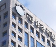 "개인투자자 피해 막아라"…28일 증권사 CEO 비상소집