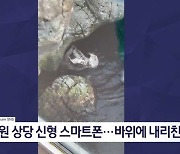 김명준의 뉴스파이터-조개인 줄 알고?…관람객 스마트폰 부순 해달