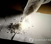 한국은 고작 집행유예인데…‘대마 1kg’ 밀수범 사형 집행한 싱가포르