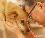 무허가 반려동물 영업자 최대 2년 징역…학대 시 치료제도 도입