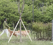 방탄소년단의 숲으로 놀러오세요