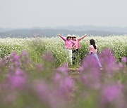 '제주 꽃밭에서 추억 한 장'